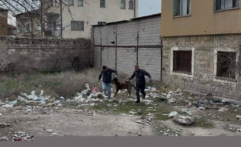 Başıboş köpeğin saldırdığı 3 yaşındaki çocuk ağır yaralandı
