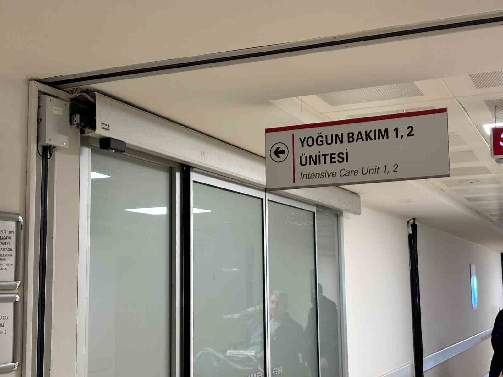 Başıboş köpekler tehlike saçıyor
