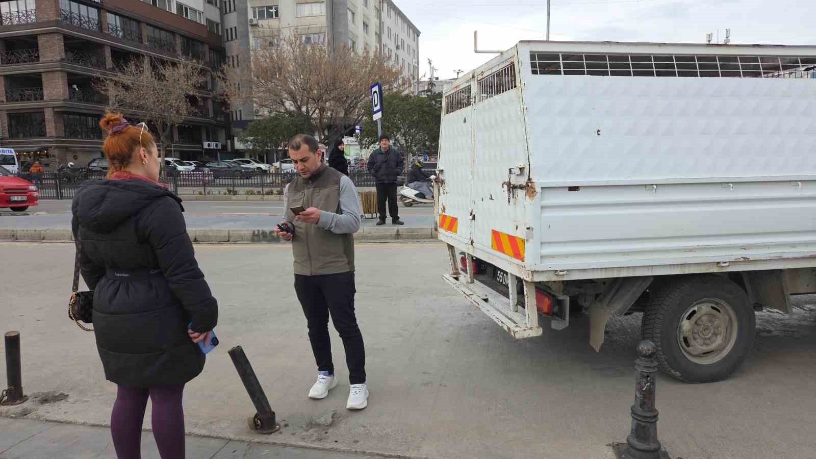 Başıboş sokak köpekleri toplanarak barınağa götürüldü
