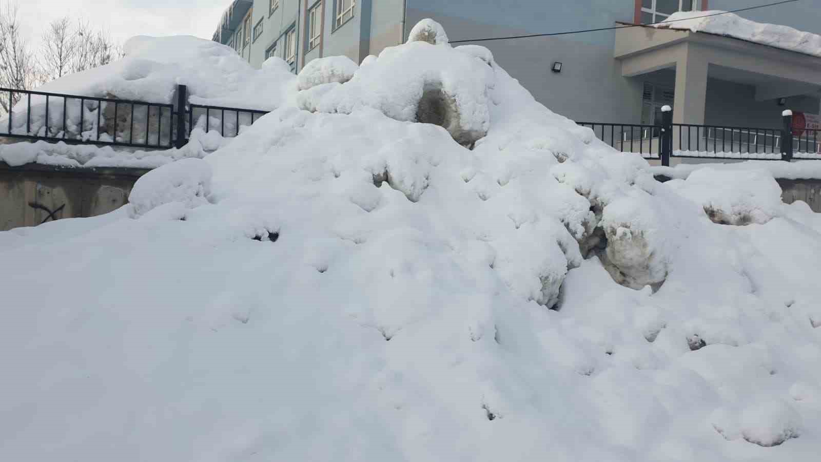 Başkale’de 13 yerleşim yerine ulaşım sağlanamıyor
