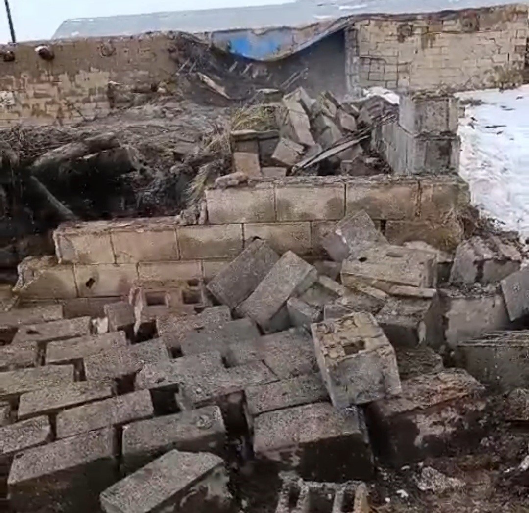 Başkale’de ahır çöktü: 20 küçükbaş hayvan göçük altında kaldı
