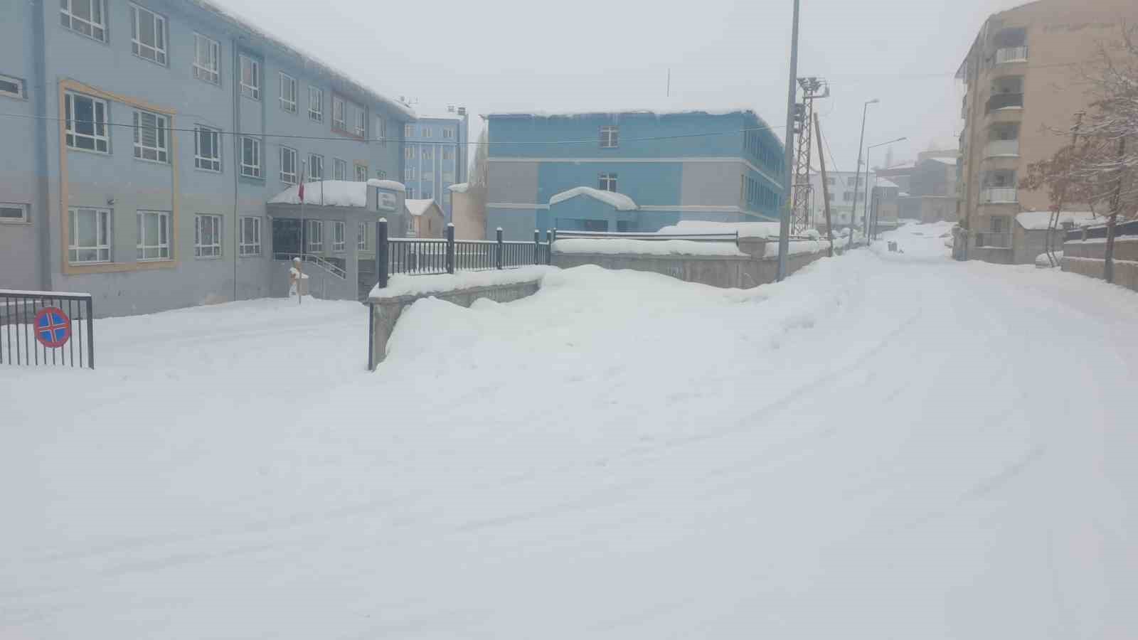 Başkale’de kar yağışı
