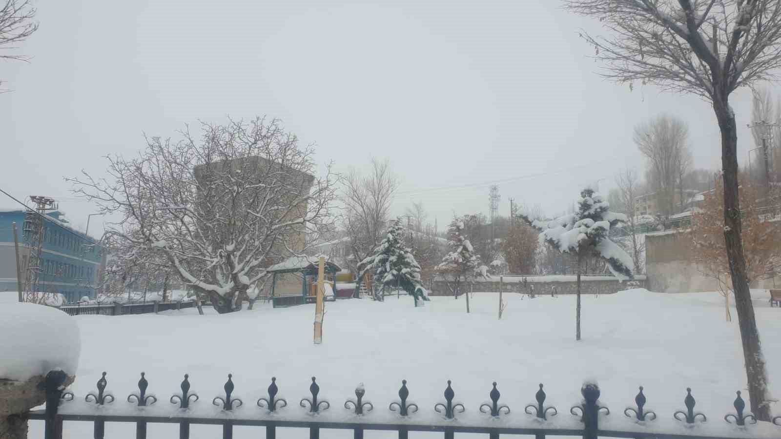 Başkale’de kar yağışı
