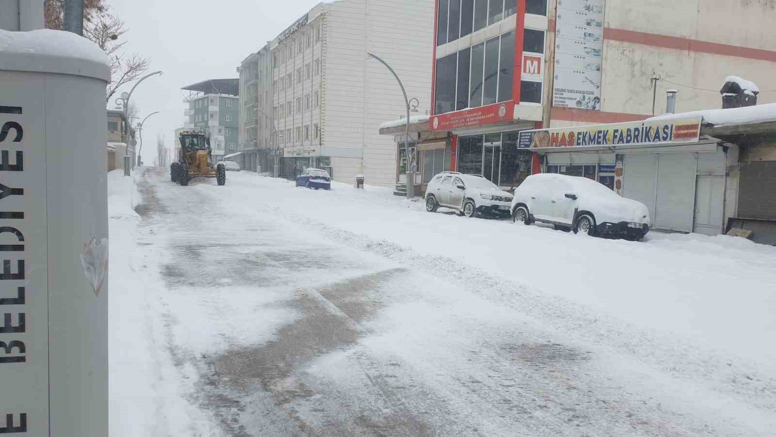 Başkale’de kar yağışı
