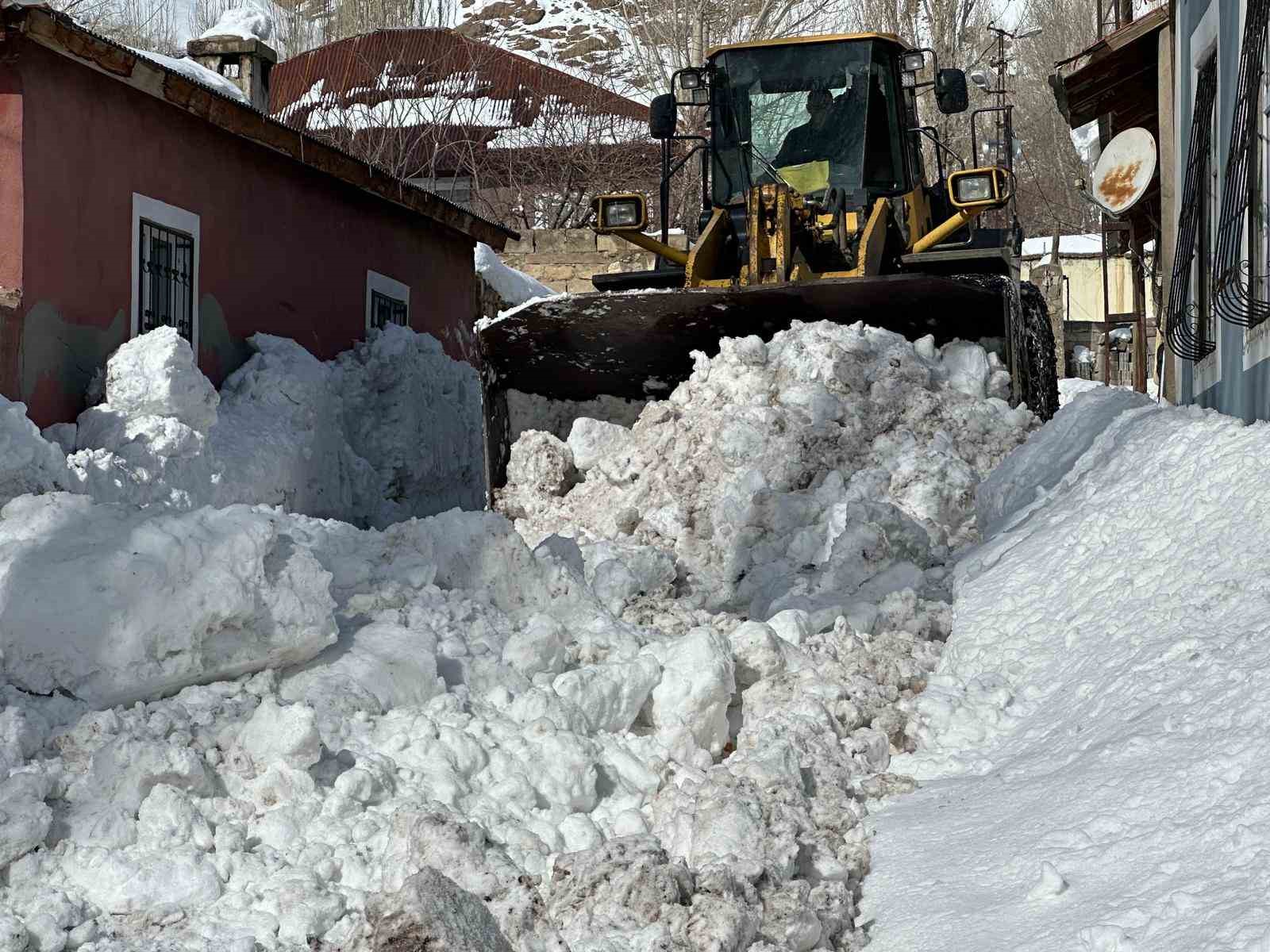 Başkale’de kar yağışı
