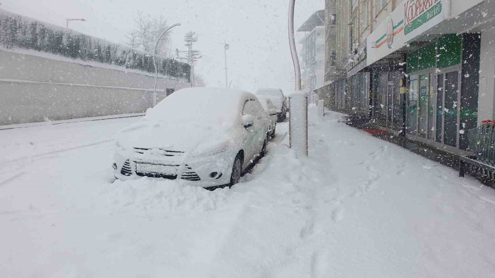 Başkale’de yoğun kar yağışı
