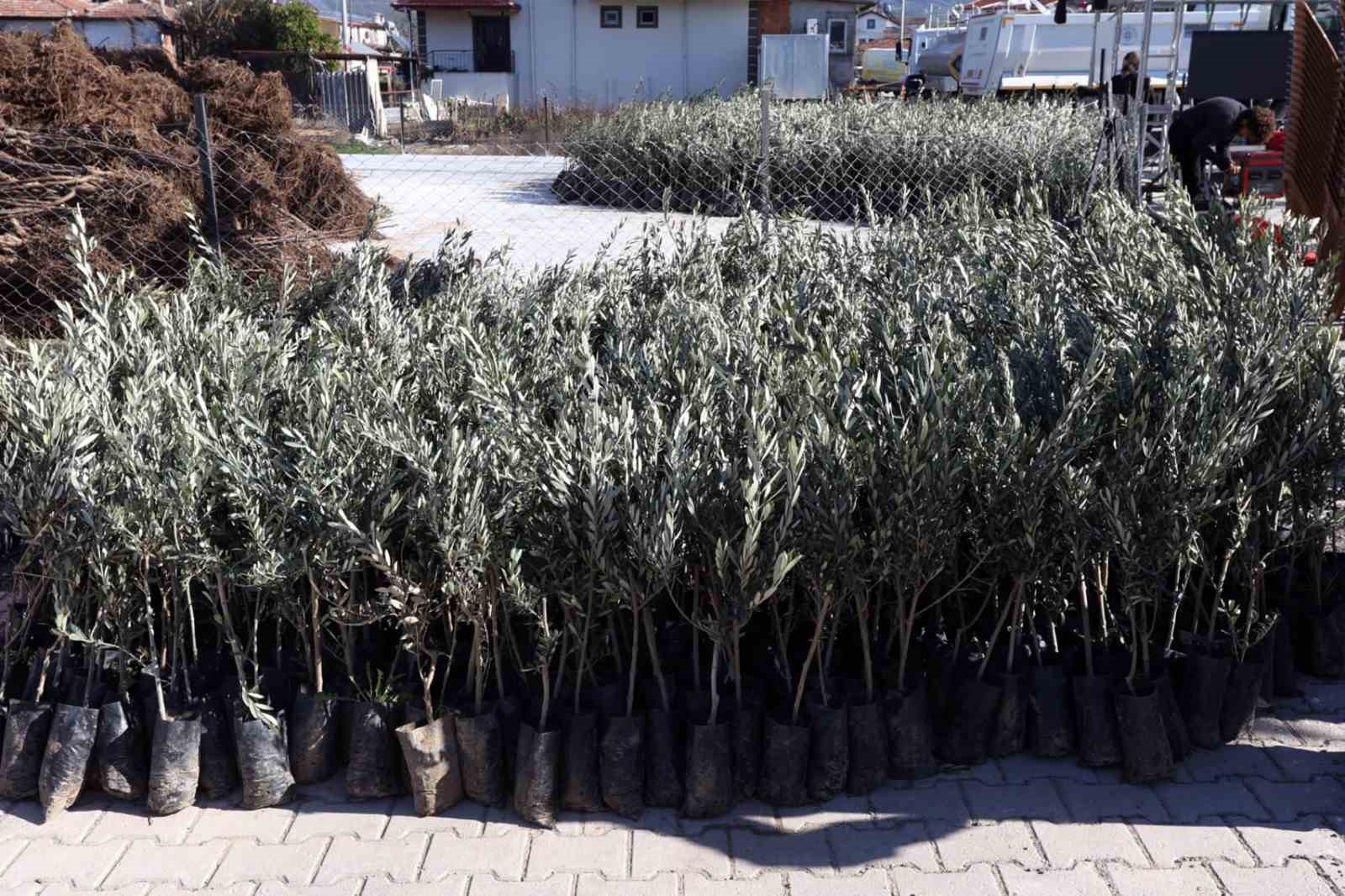 Başkan Aras: "Kırsalda üretim varsa, kentte bereket vardır"
Başkan Aras: "Kırsalda üretim varsa, kentte bereket vardır"