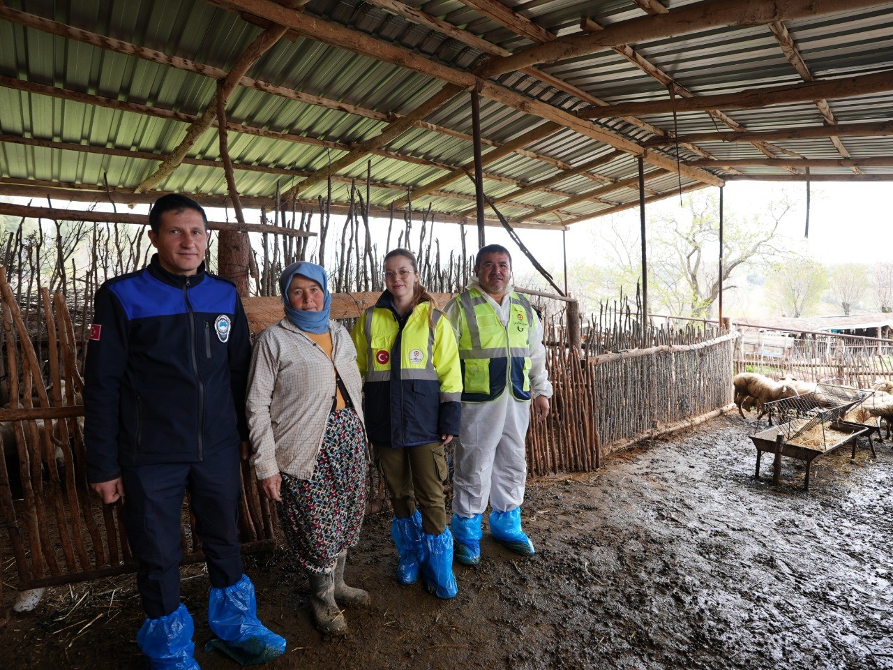 Başkan Çavuşoğlu’nun hayvancılık hamlesine üreticiden tam not
