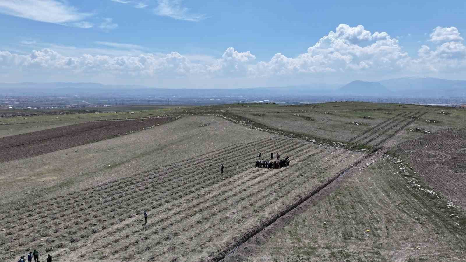 Başkan Çolakbayrakdar: "Çevreye yatırım, çocuklarımızın geleceğine yatırımdır"
