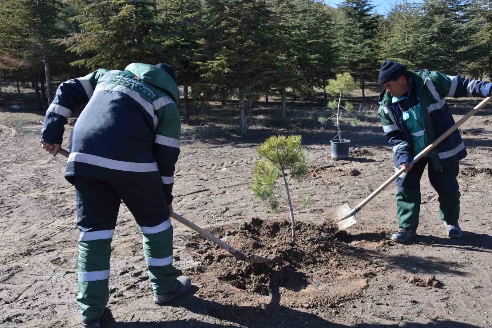 Başkan Çolakbayrakdar: "Daha yeşil bir çevre, huzurlu bir yaşam inşa ediyoruz"

