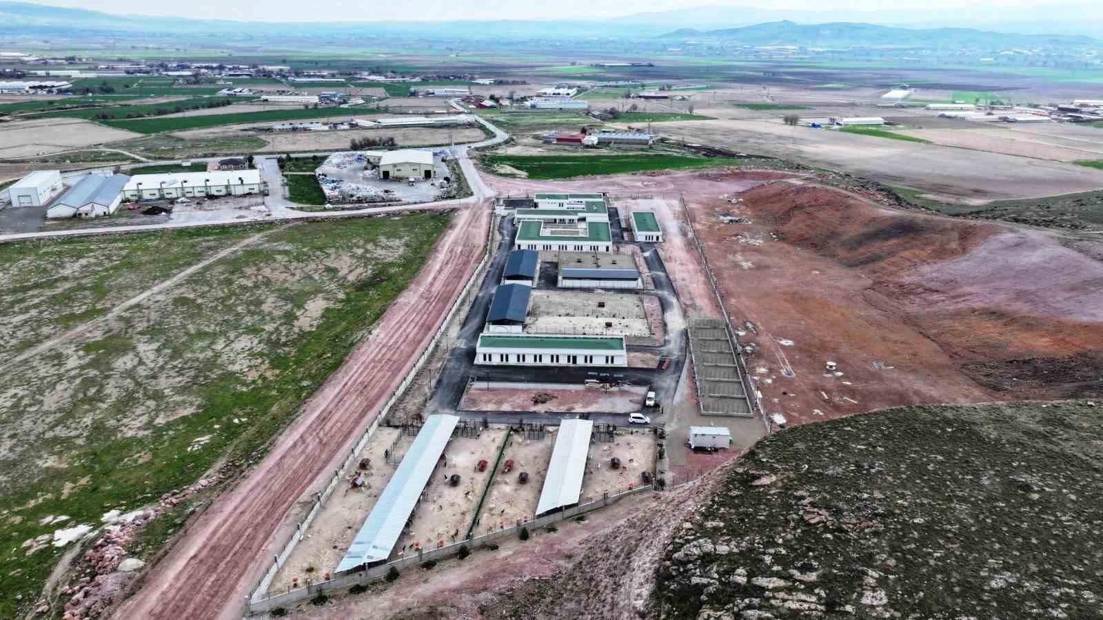 Başkan Çolakbayrakdar: "Kayseri’miz, model olacak modern hayvan bakımevi ile öncü bir şehir oluyor"
