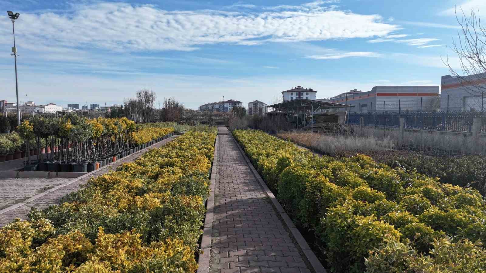 Başkan Çolakbayrakdar: "Şehrin yeşil geleceğini Kocasinan’da inşa ediyoruz"
