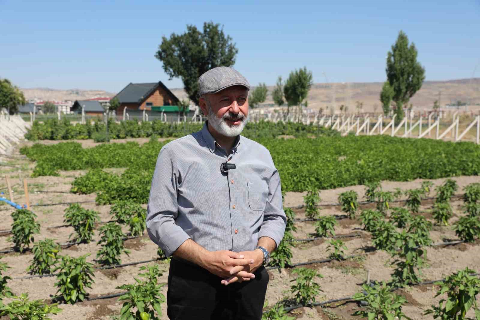 Başkan Çolakbayrakdar: "Toprağımıza bereket, çiftçimize yeni kazanç kapısı açıyoruz"
