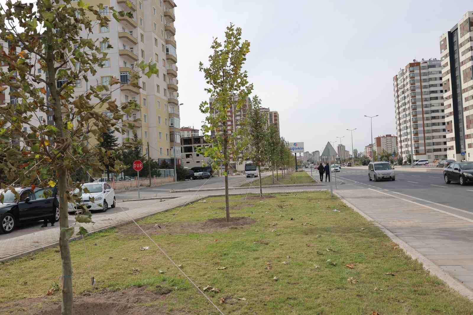 Başkan Çolakbayrakdar: "Türkiye’de ağaç dikmede rekor kırdık, şimdi yeni bir rekor için çalışıyoruz"
