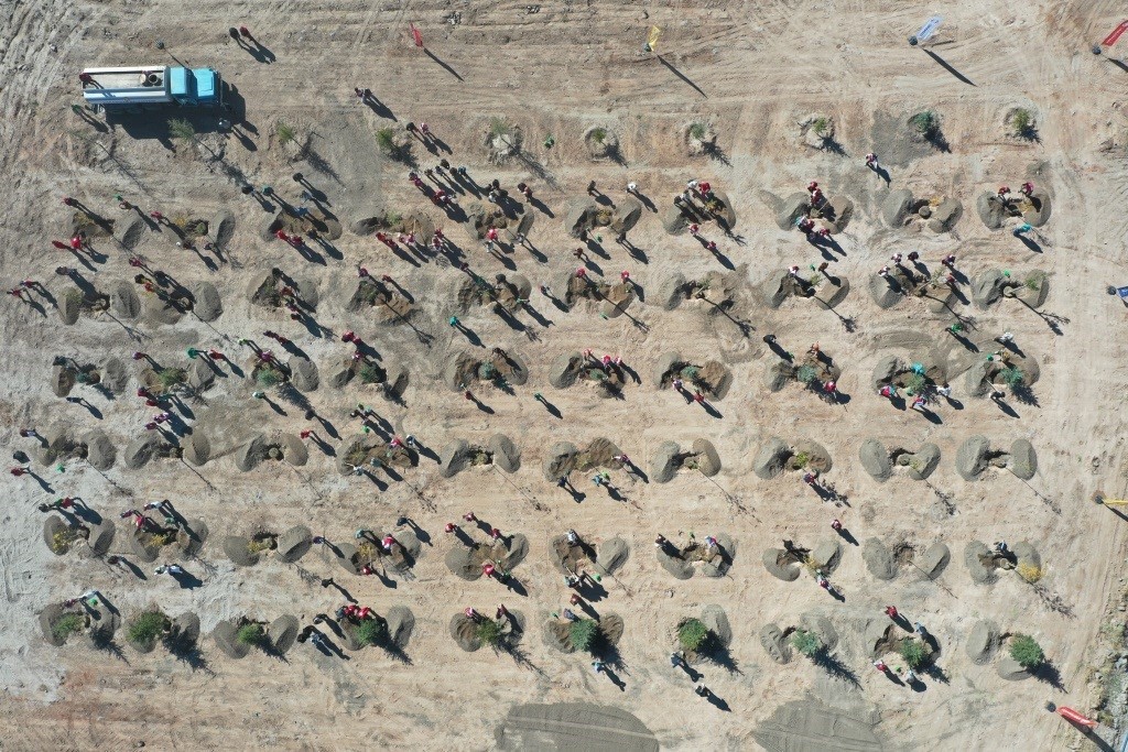 Başkan Çolakbayrakdar: "Türkiye’de ağaç dikmede rekor kırdık, şimdi yeni bir rekor için çalışıyoruz"
