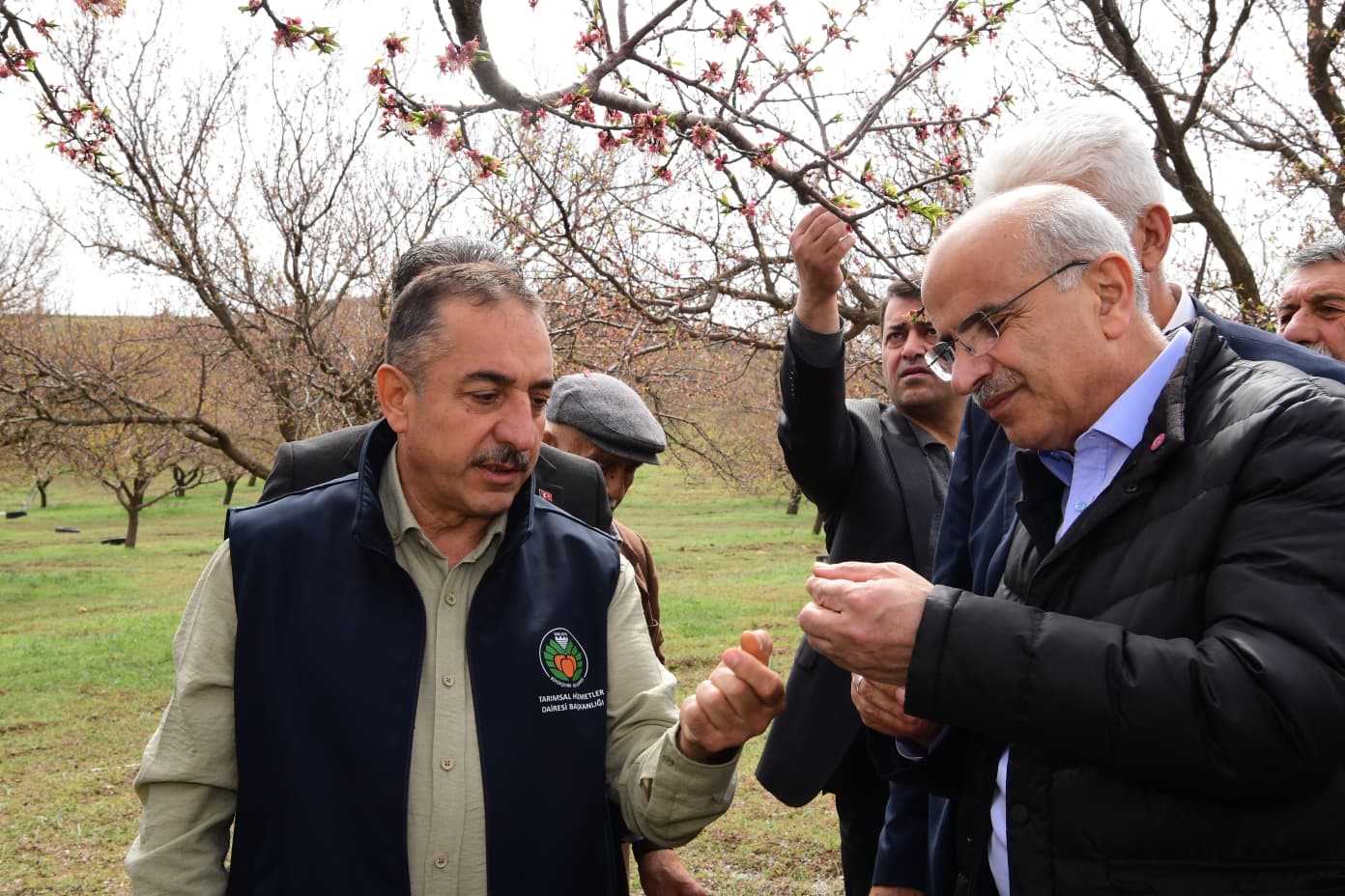Başkan Er, dolu afetinden zarar gören ilçeleri ziyaret etti
