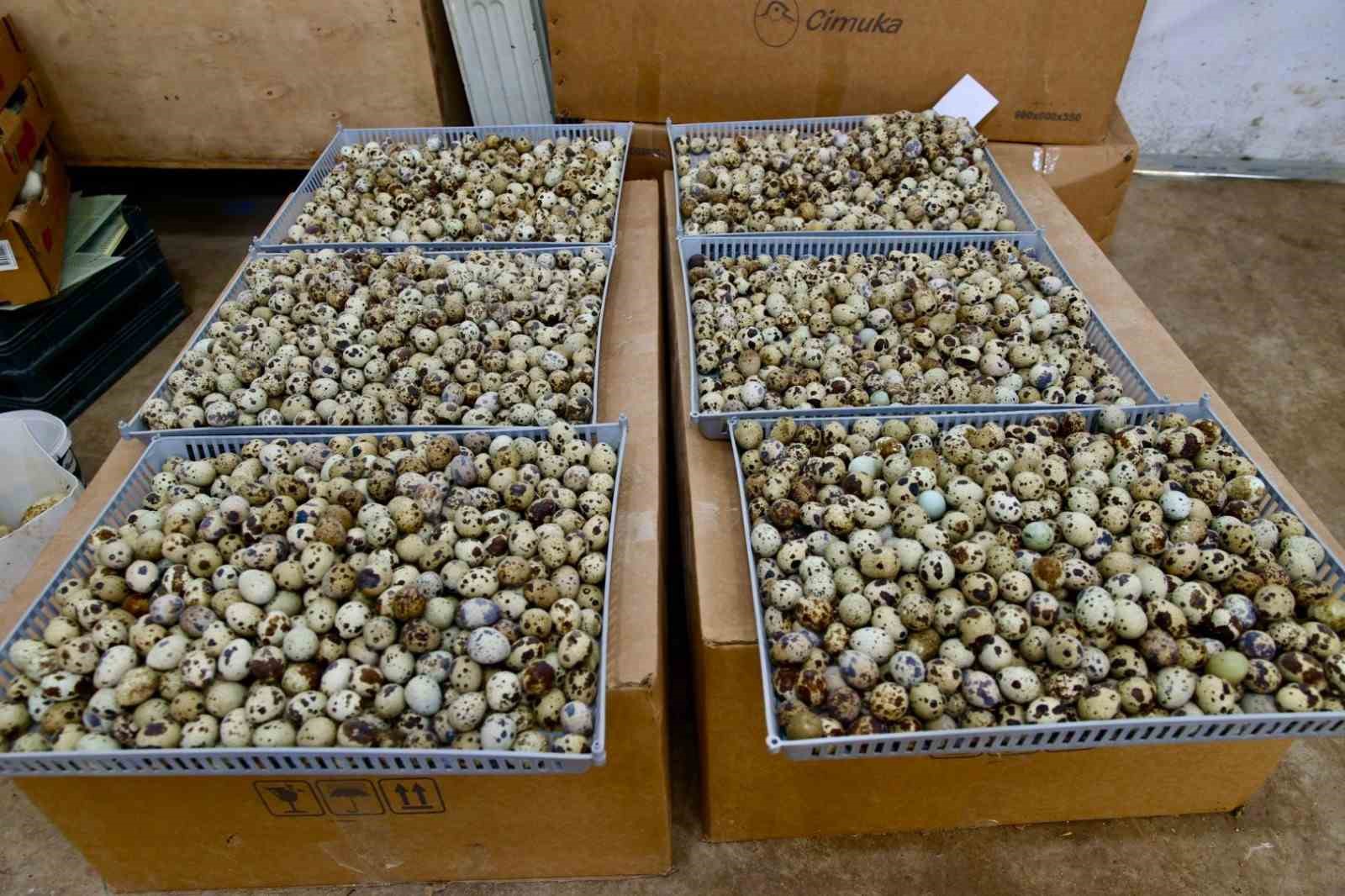 Başkan Güler: "Ordumuza yeni bir sektör hazırlıyoruz"
