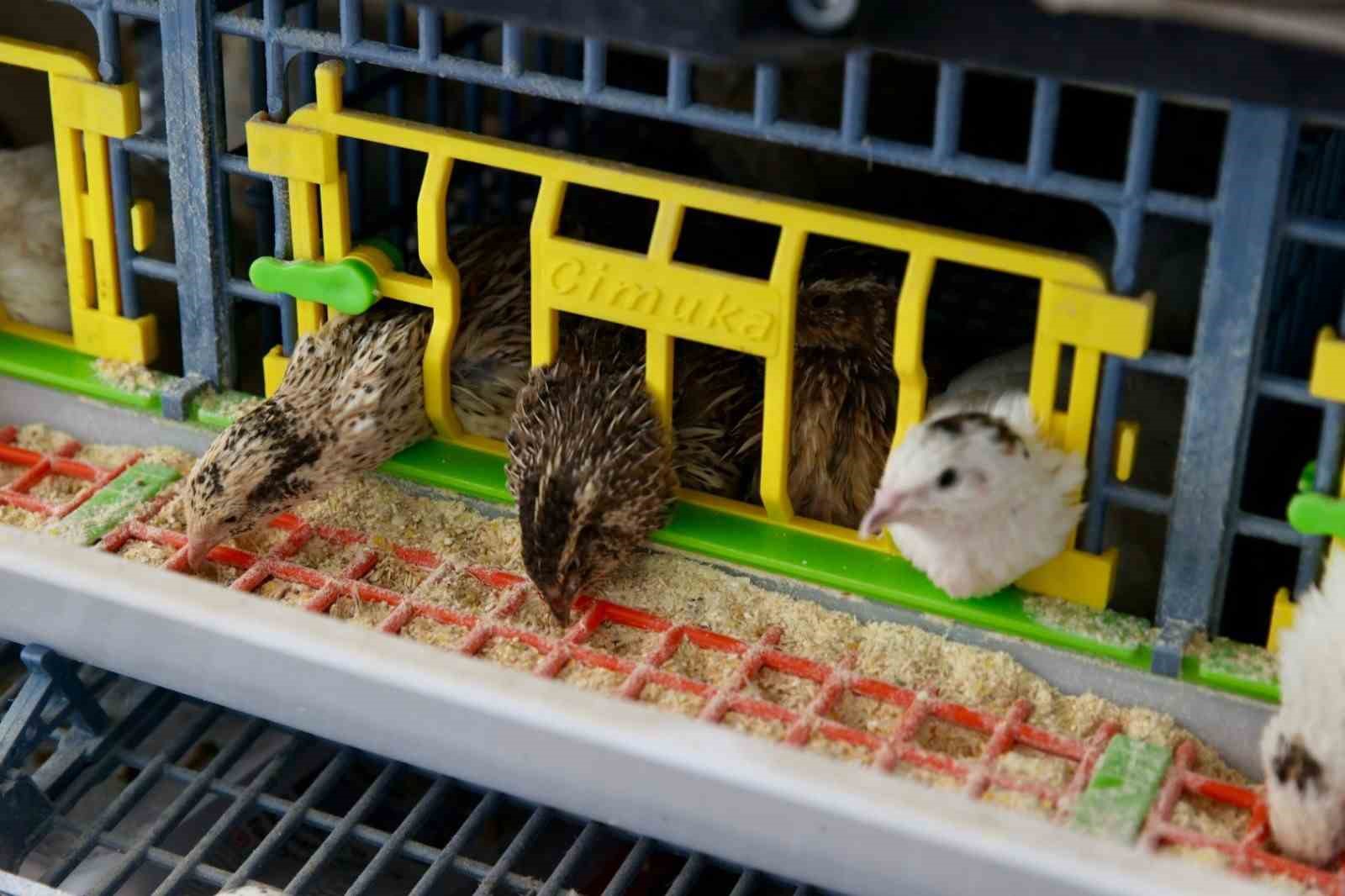 Başkan Güler: "Ordumuza yeni bir sektör hazırlıyoruz"
