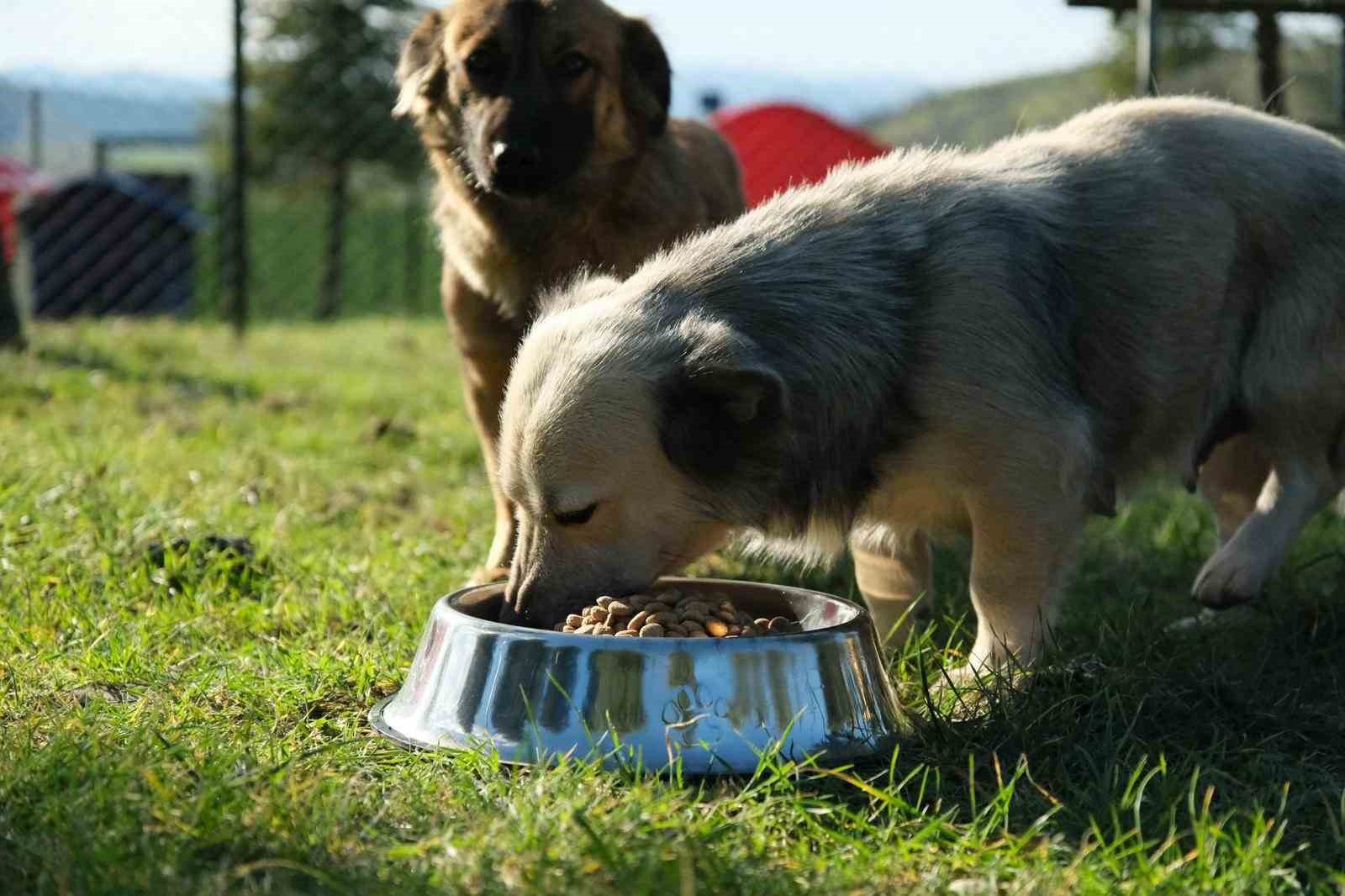 Başkan Hakan Şehirli iki yılı değerlendirdi
