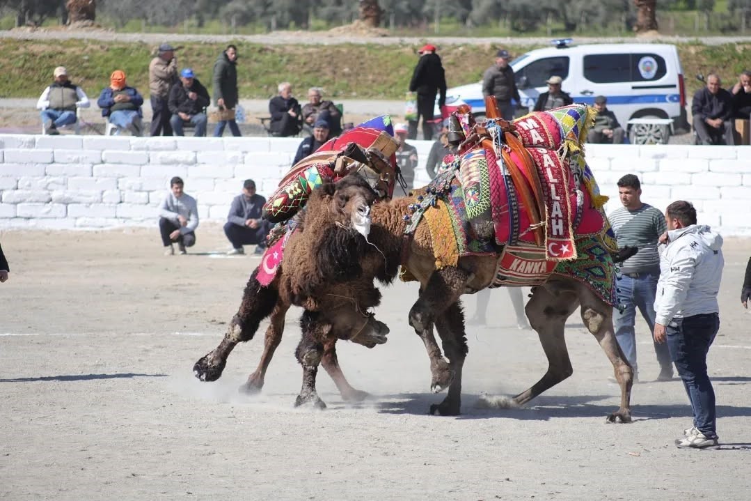 Başkan Kaya: "Bu yıl sezonun ilk güreşlerini yapmak bizlere nasip oldu"
