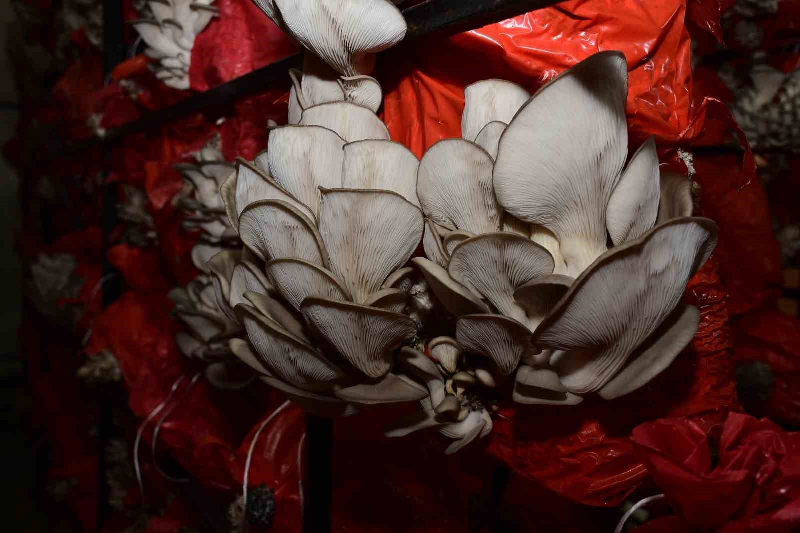 Başkan Kul: "Üreten kadınların yanında olmaya devam edeceğiz"
