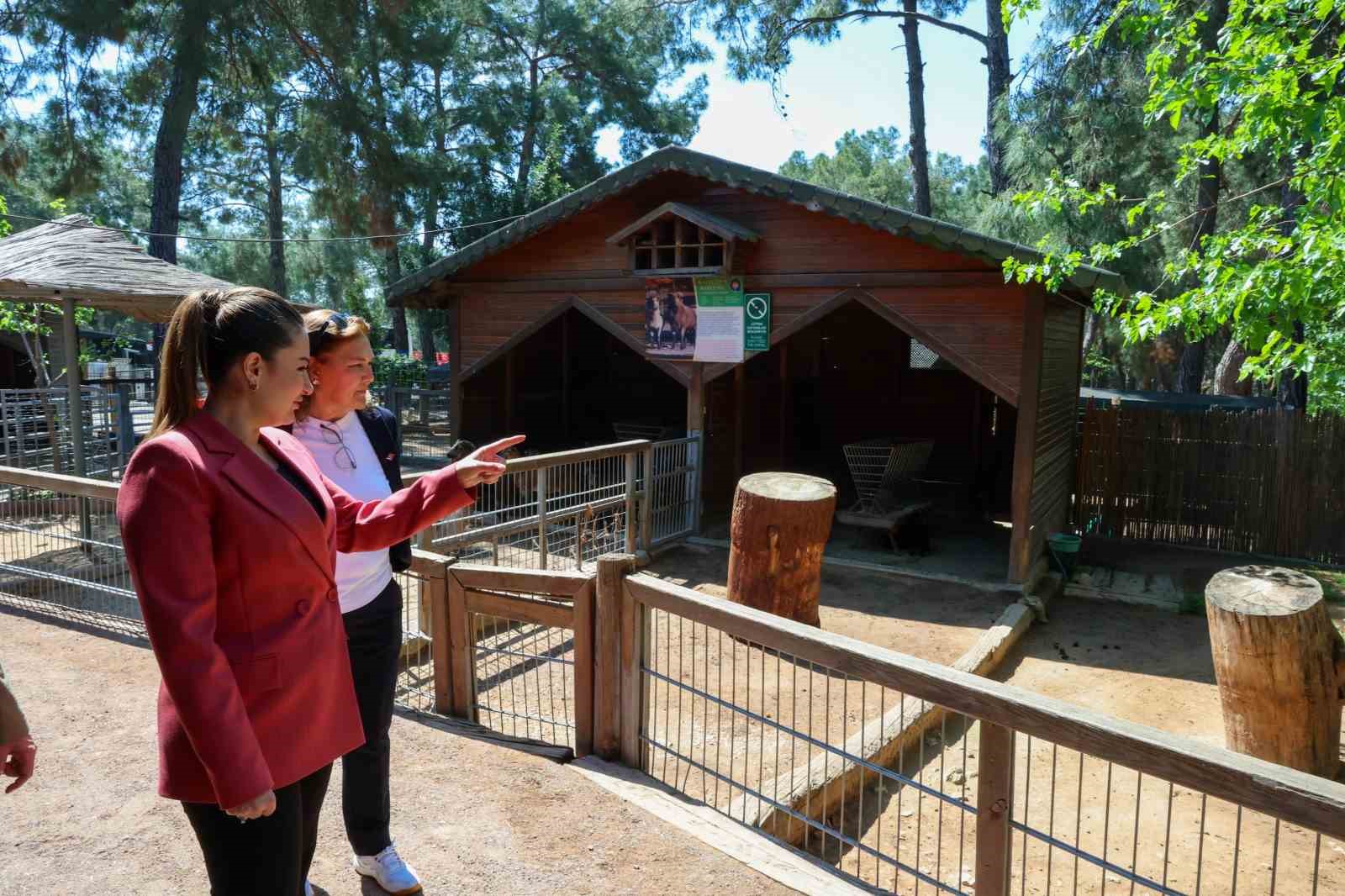 Başkan Vekili Büşra Özdemir: "Veteriner hekimlerin üstlendikleri sorumluluk çok kıymetli"
