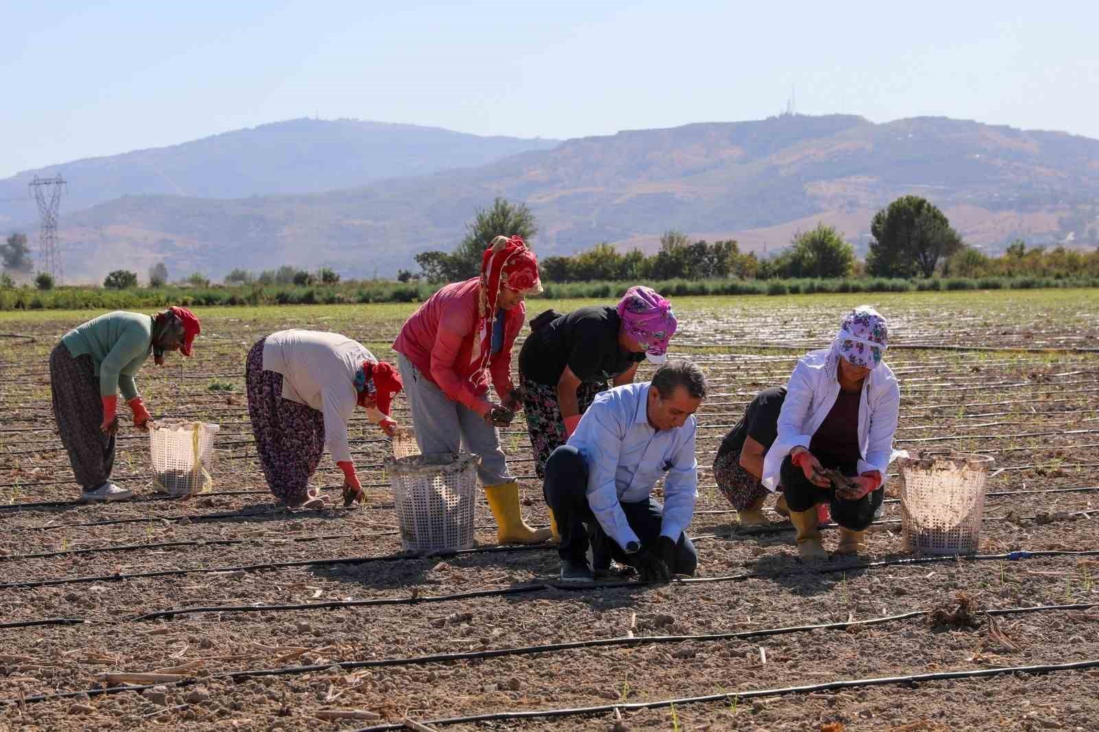 Başkan Yetişkin’den 8 Mart Dünya Kadınlar Günü mesajı
