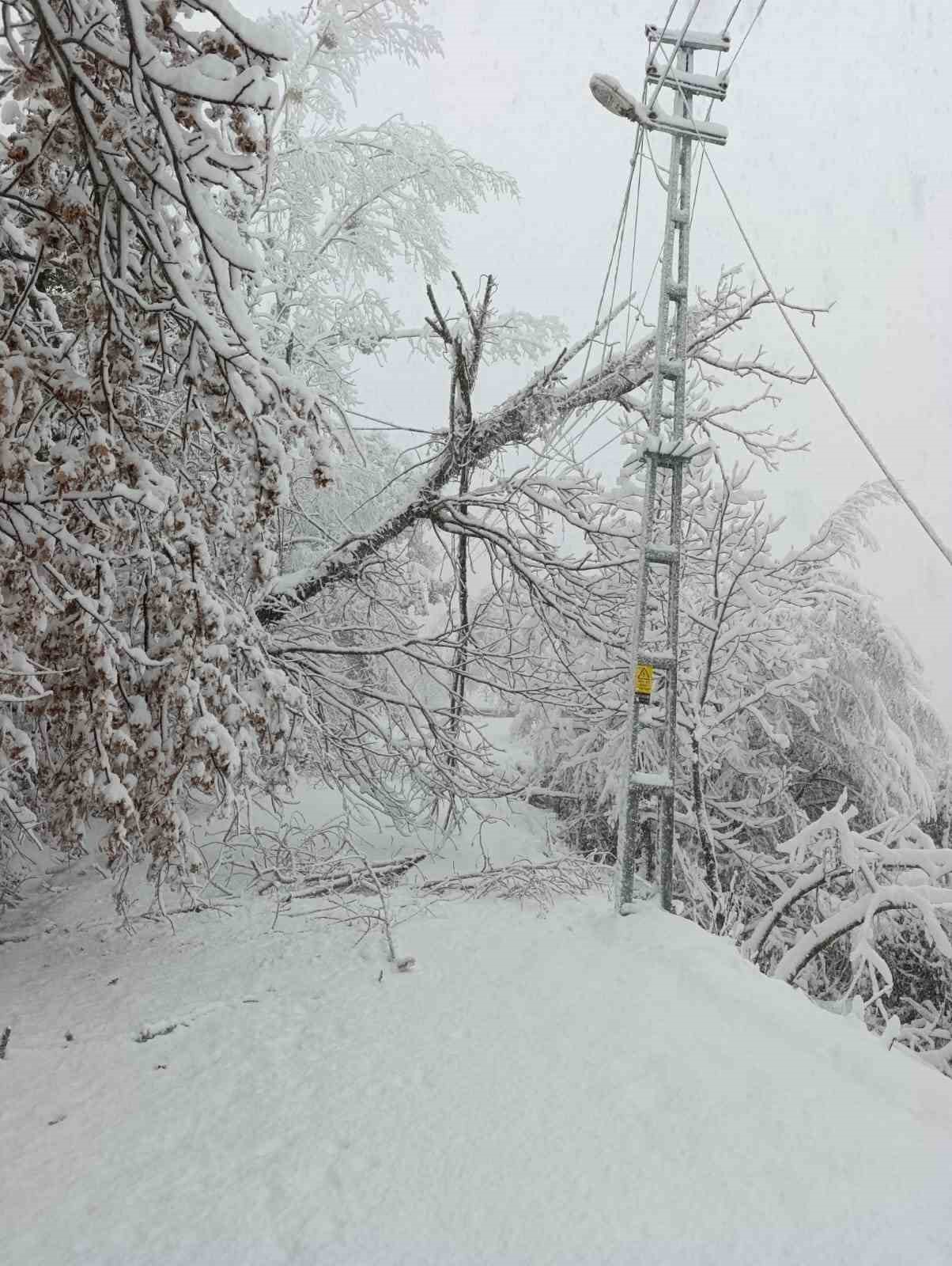 Başkent EDAŞ zorlu kış şartlarında 7/24 sahada mücadele ediyor
