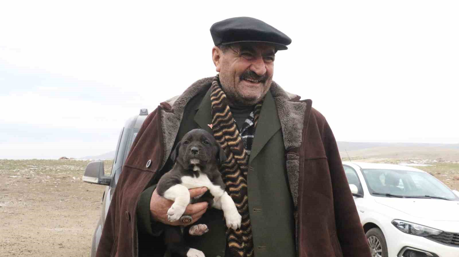 Başkentin siyah bekçileri: Haymana Karası
