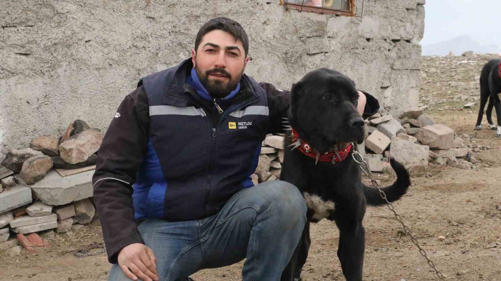 Başkentin siyah bekçileri: Haymana Karası
