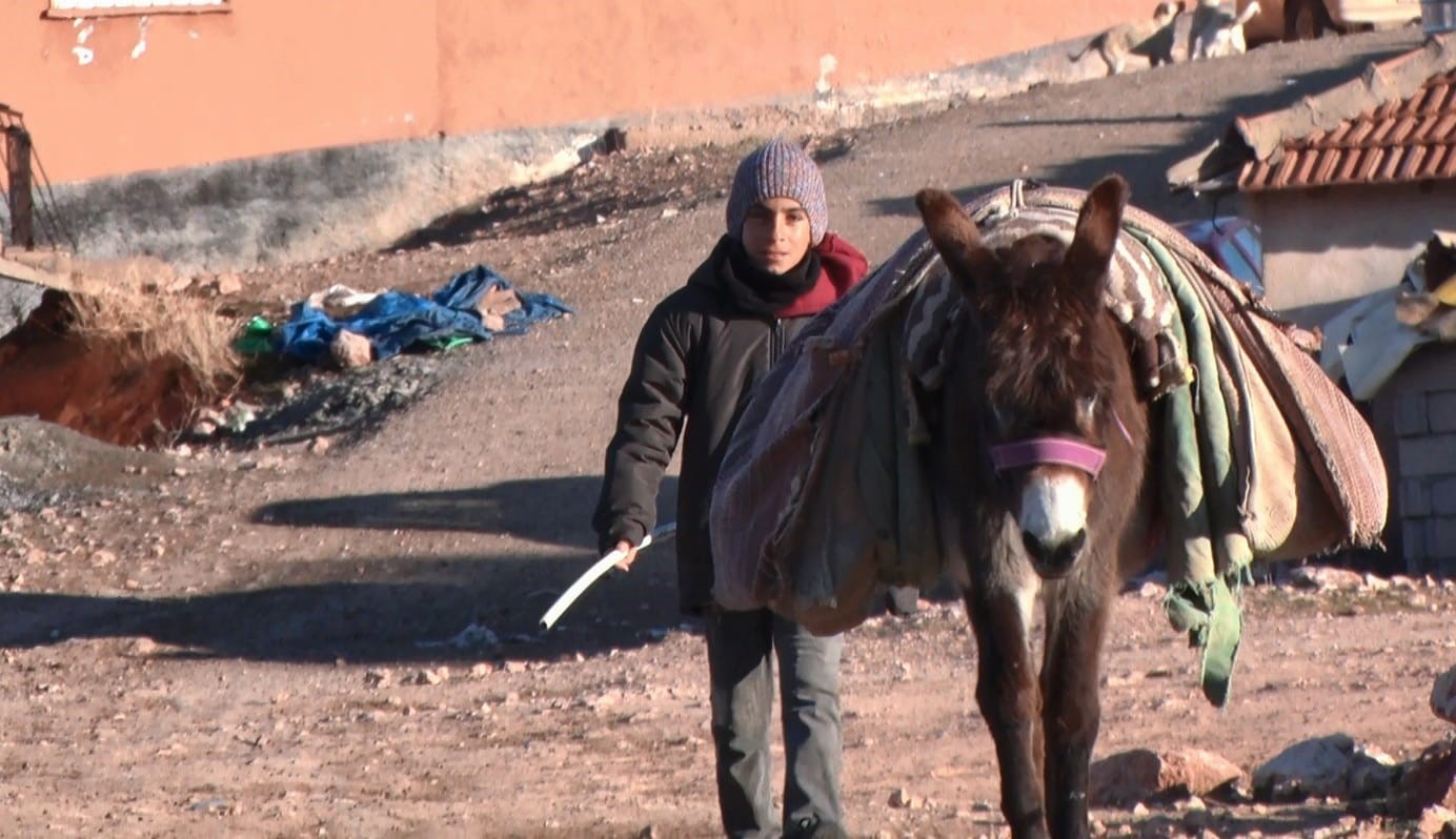 Başkent’te kuzuların anneleriyle buluşma anı dronla görüntülendi
