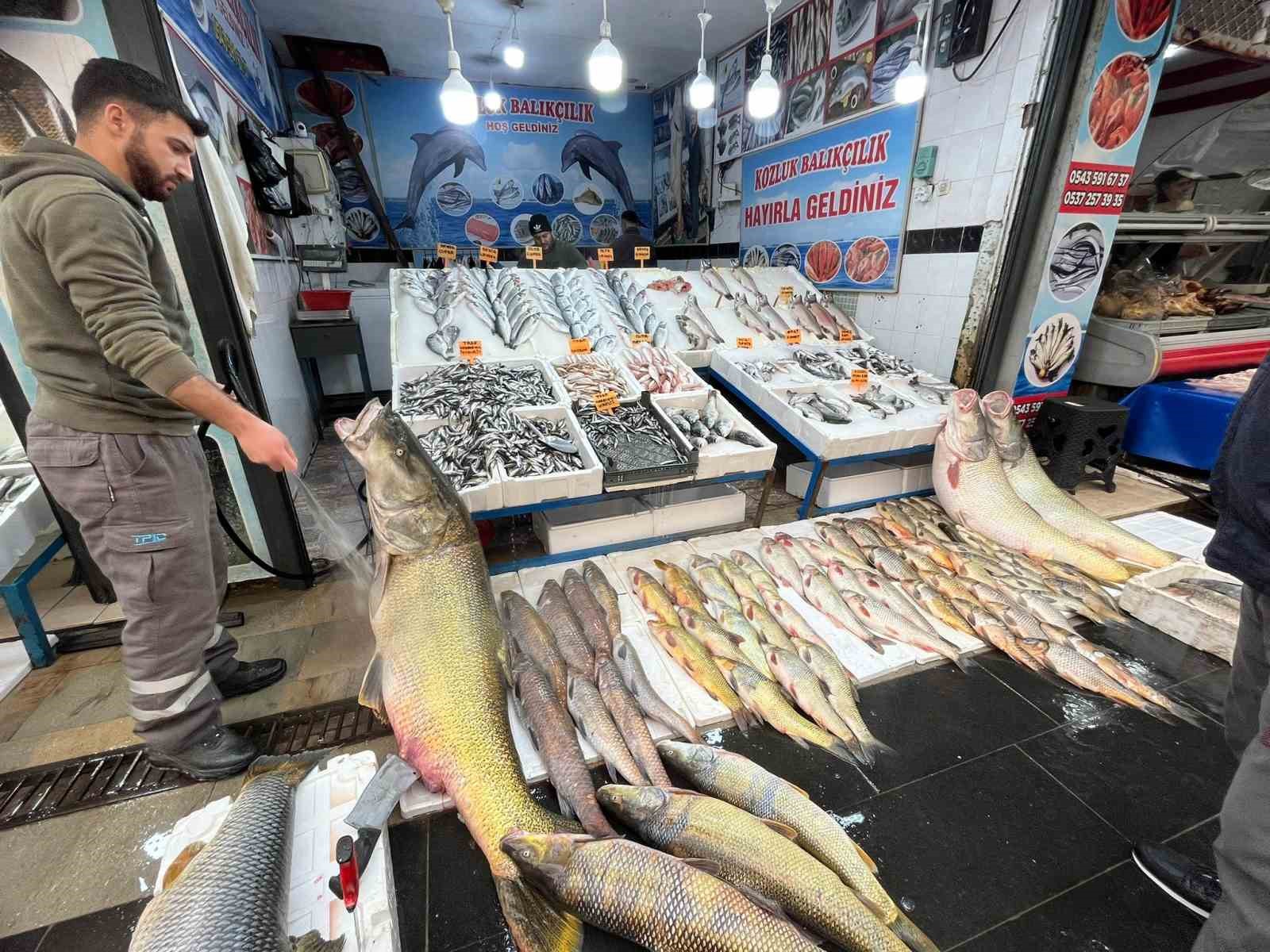 Batman’da 120 kiloluk dev turna balığı görenleri hayrete düşürdü
