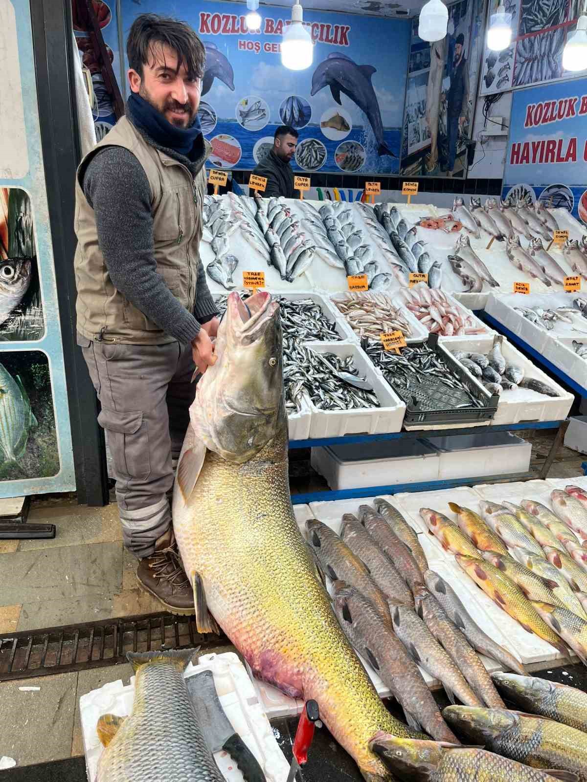 Batman’da 120 kiloluk dev turna balığı görenleri hayrete düşürdü
