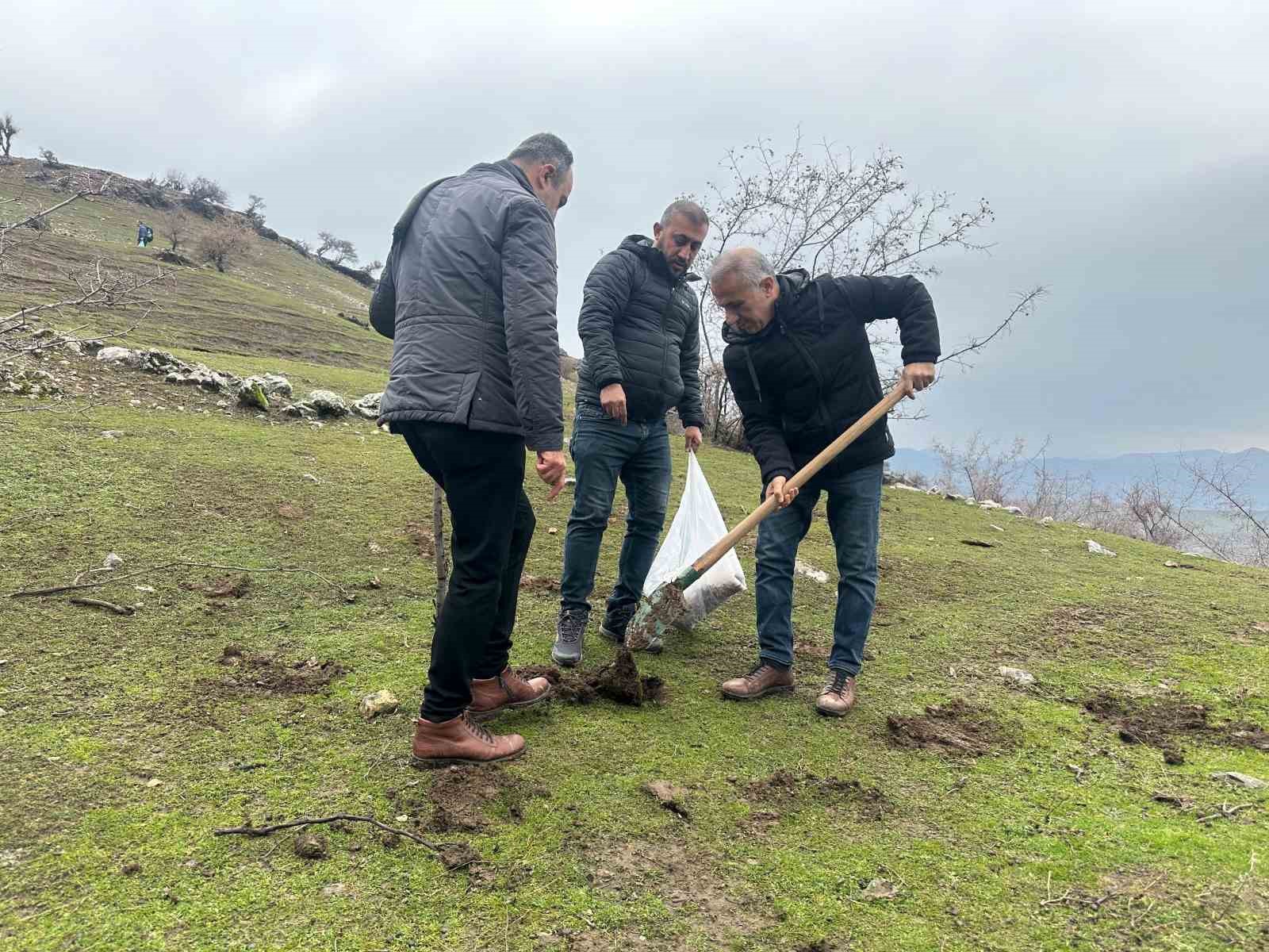Batman’da 3 bin meşe palamudu toprakla buluşturuldu
