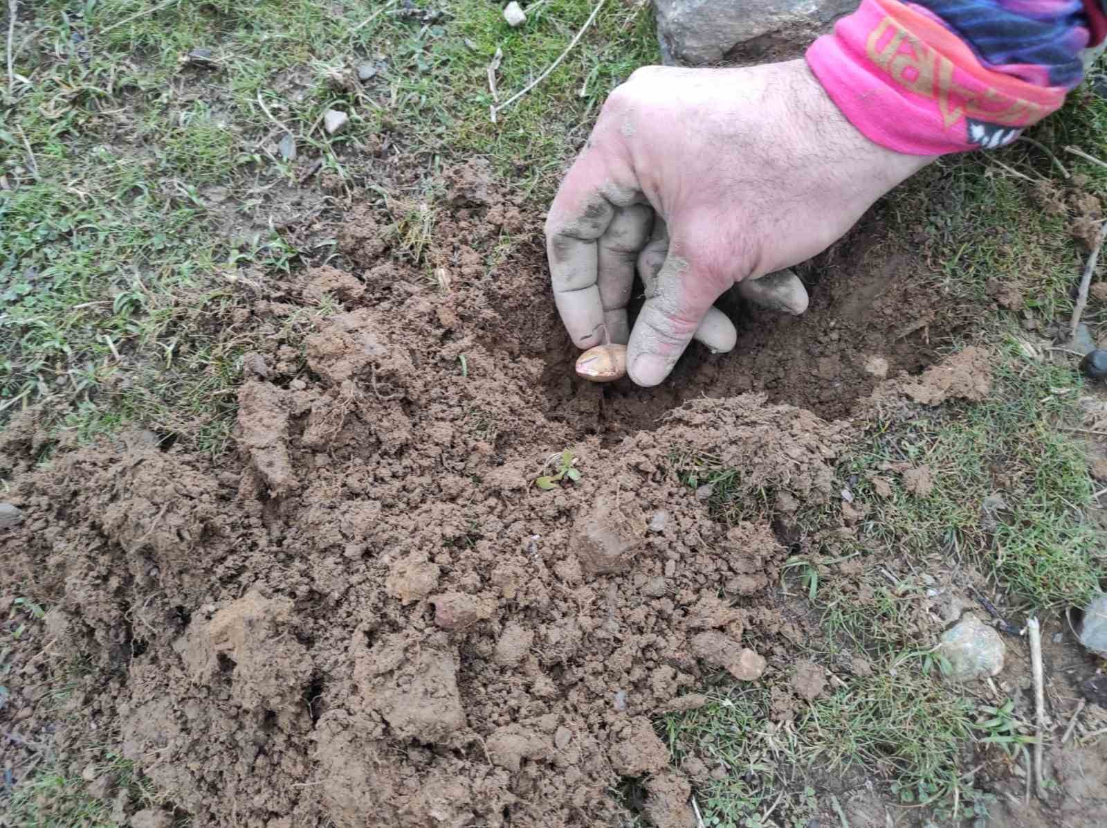 Batman’da 3 bin meşe palamudu toprakla buluşturuldu
