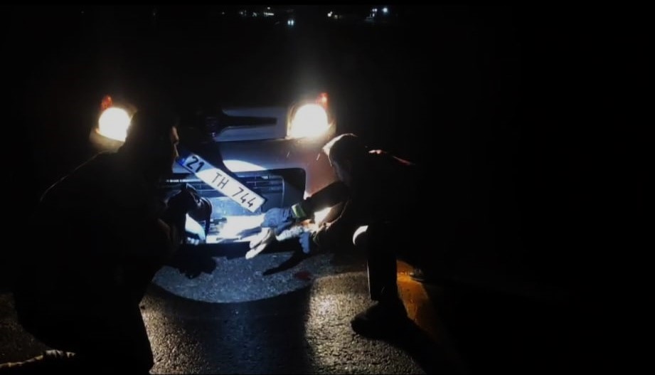 Batman’da çarpma sonucu aracın tamponuna sıkışan tilki kurtarıldı
