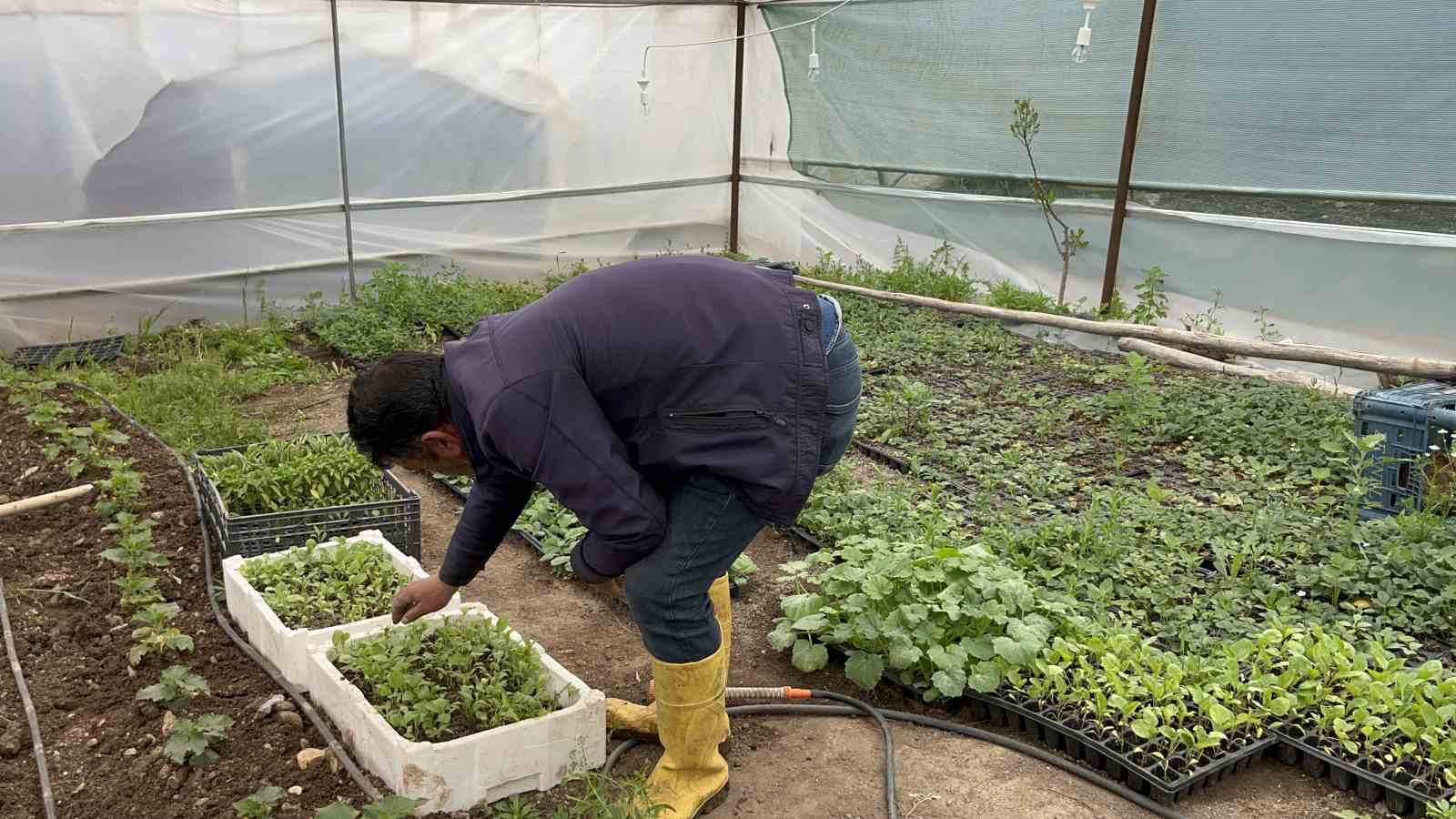 Batman’da dev turp görenleri şaşırttı
