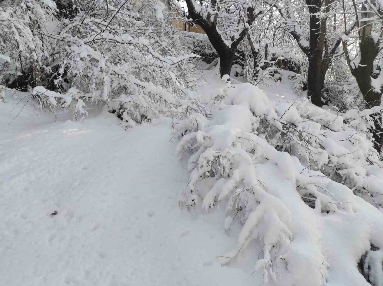 Batman’da kar manzaraları
