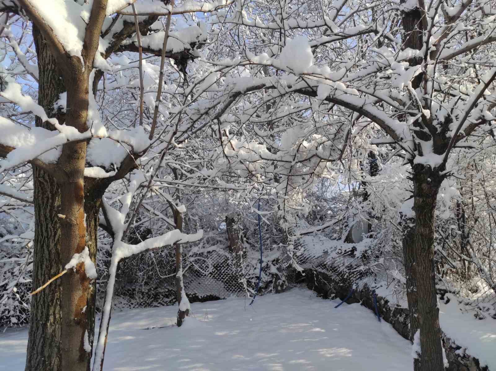 Batman’da kar manzaraları
