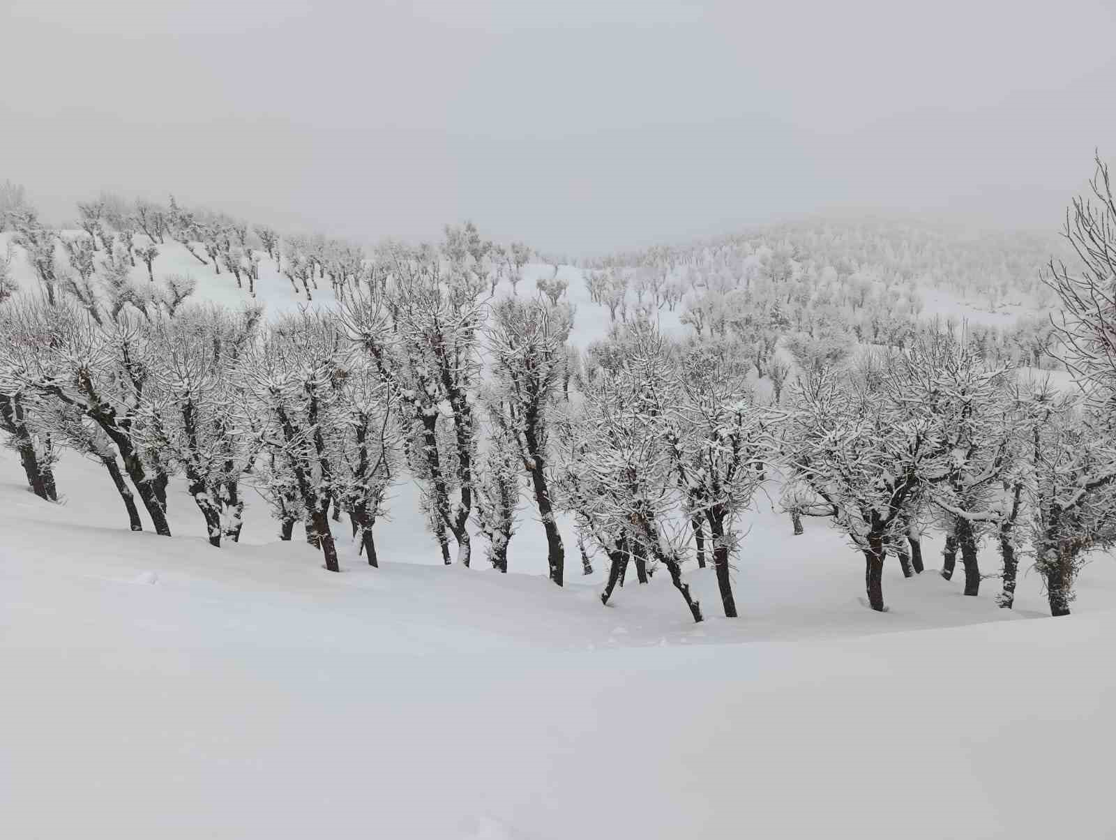 Batman’da karla mücadele çalışmaları sürüyor
