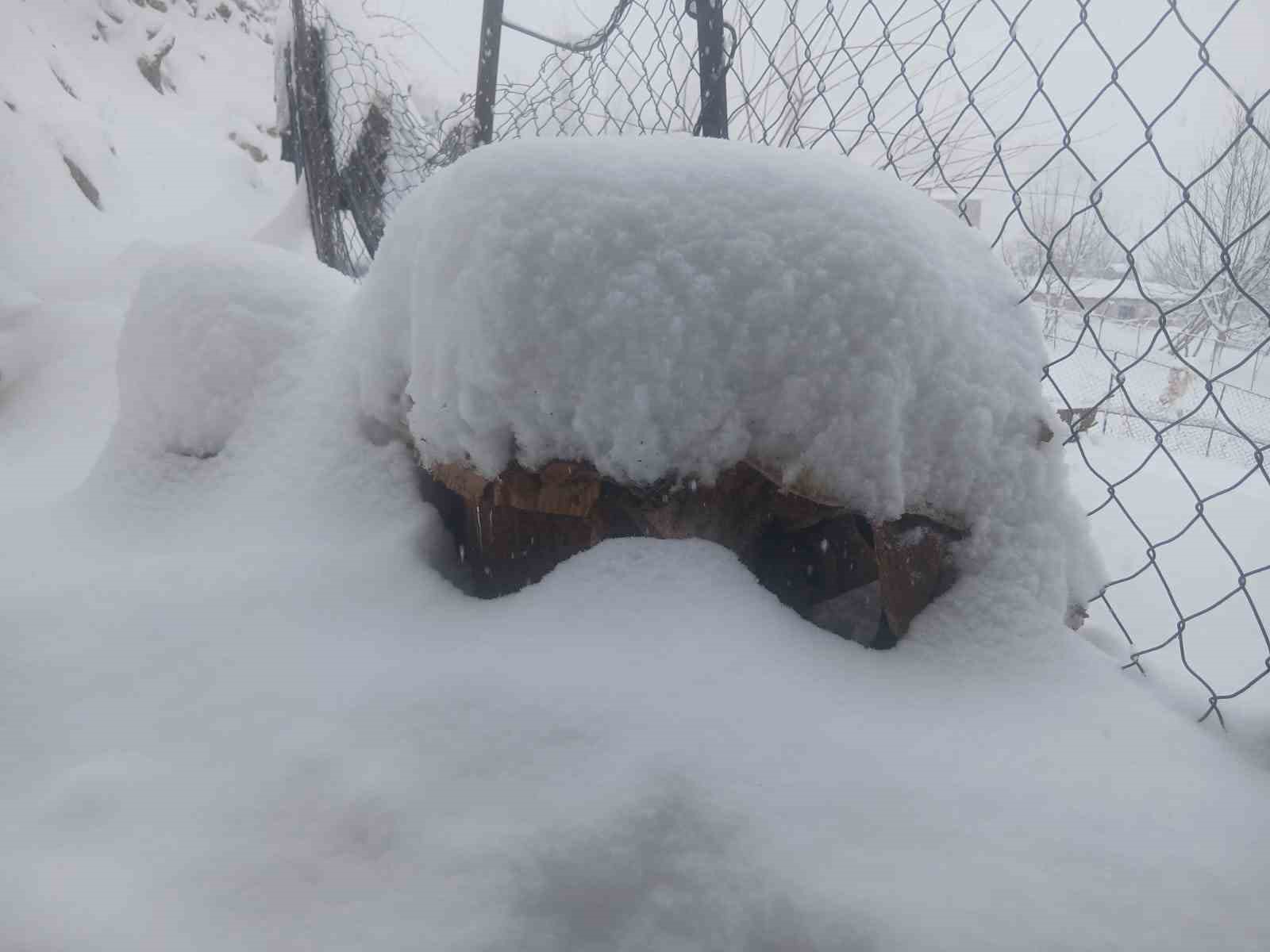 Batman’da son 20 yılın en sert kışında ekiplerin çalışmaları sürüyor
