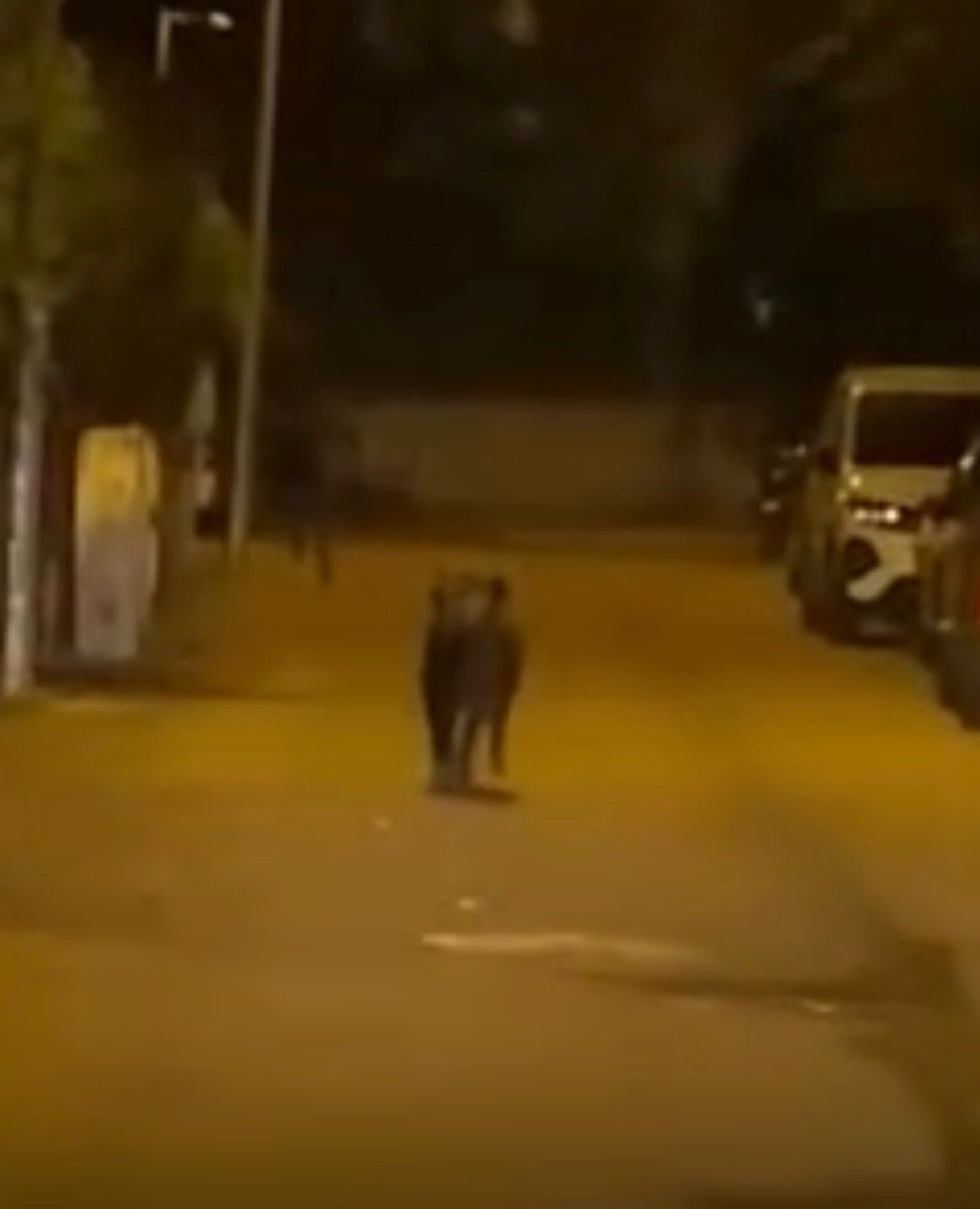 Batman’da yaban domuzunun yaraladığı 3 kişi taburcu edildi
