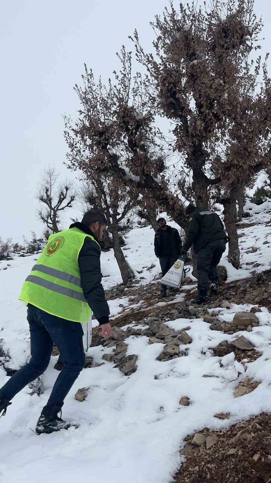 Batman’da yaban hayatı unutulmadı
Batman’da yaban hayatı unutulmadı