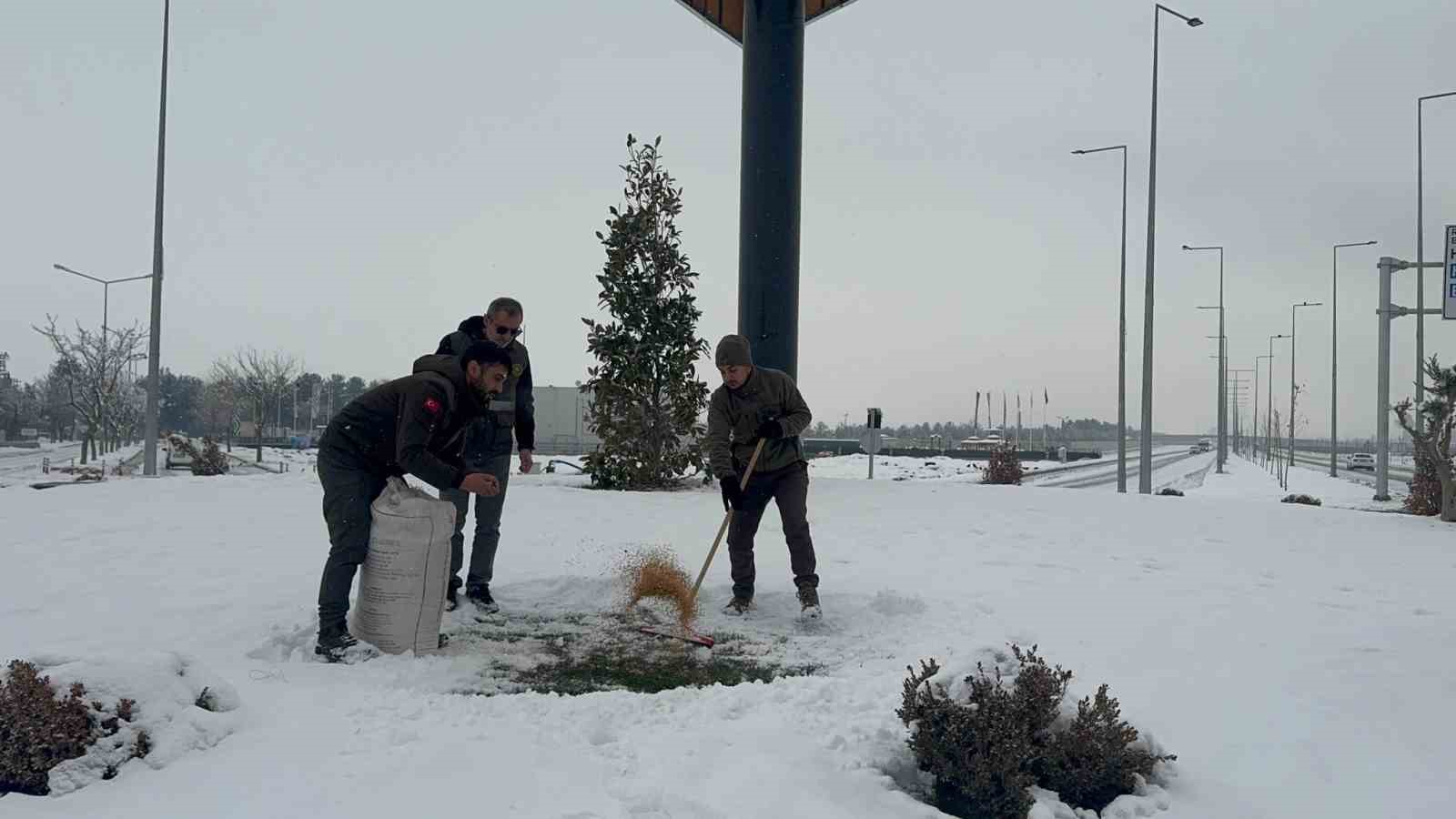 Batman’da yaban hayvanları için doğaya yem bırakıldı
