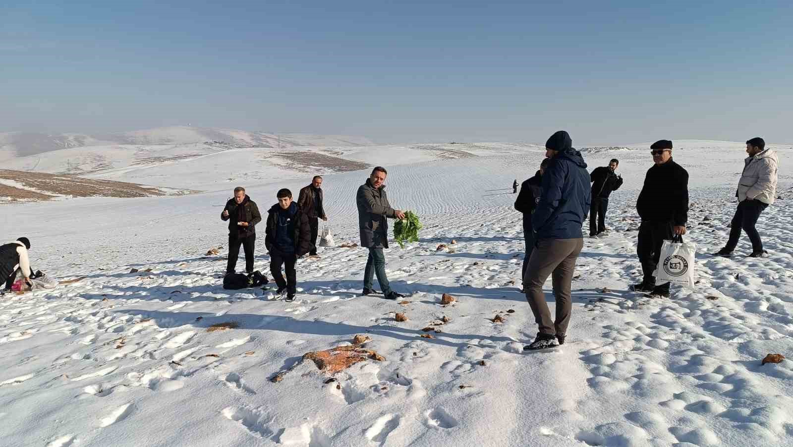 Batman’da yaban hayvanları için doğaya yem bırakıldı
