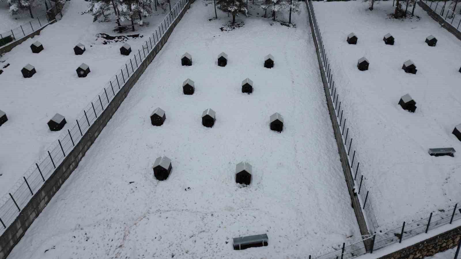 Battalgazi’de Malatya’nın ikinci hayvan barınağı hizmete başladı
