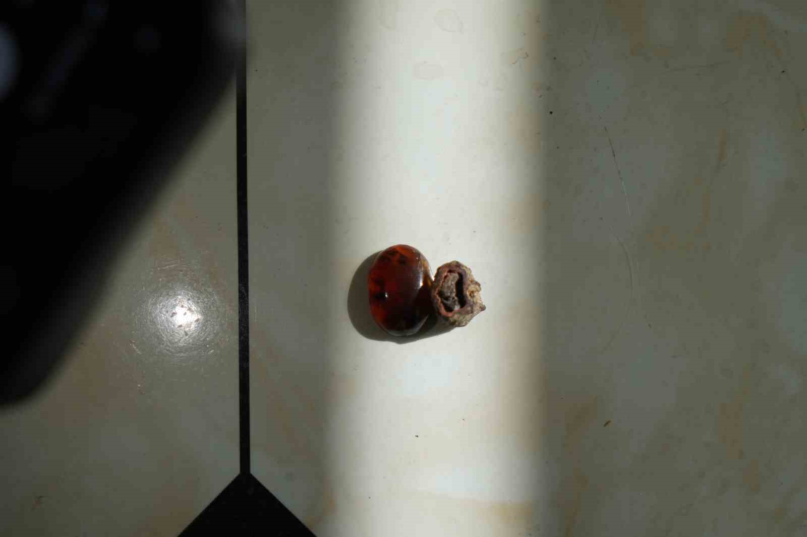 Bayburtlu kehribar ustası işlediği taşta milyonlarca yıllık böcek fosili buldu
