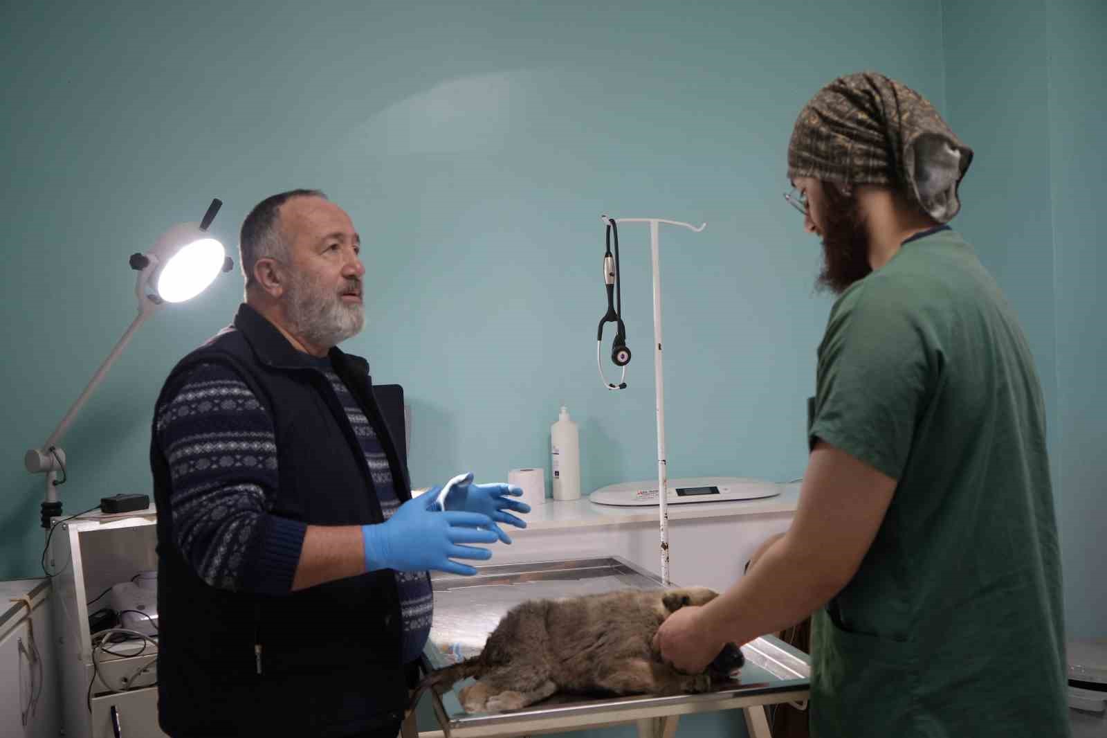 Bayburtlu şoförden insanlık dersi: Başka sürücünün çarpıp kaçtığı yaralı köpeğe umut oldu
