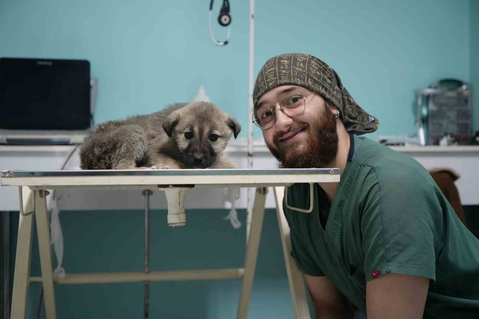 Bayburtlu şoförden insanlık dersi: Başka sürücünün çarpıp kaçtığı yaralı köpeğe umut oldu
