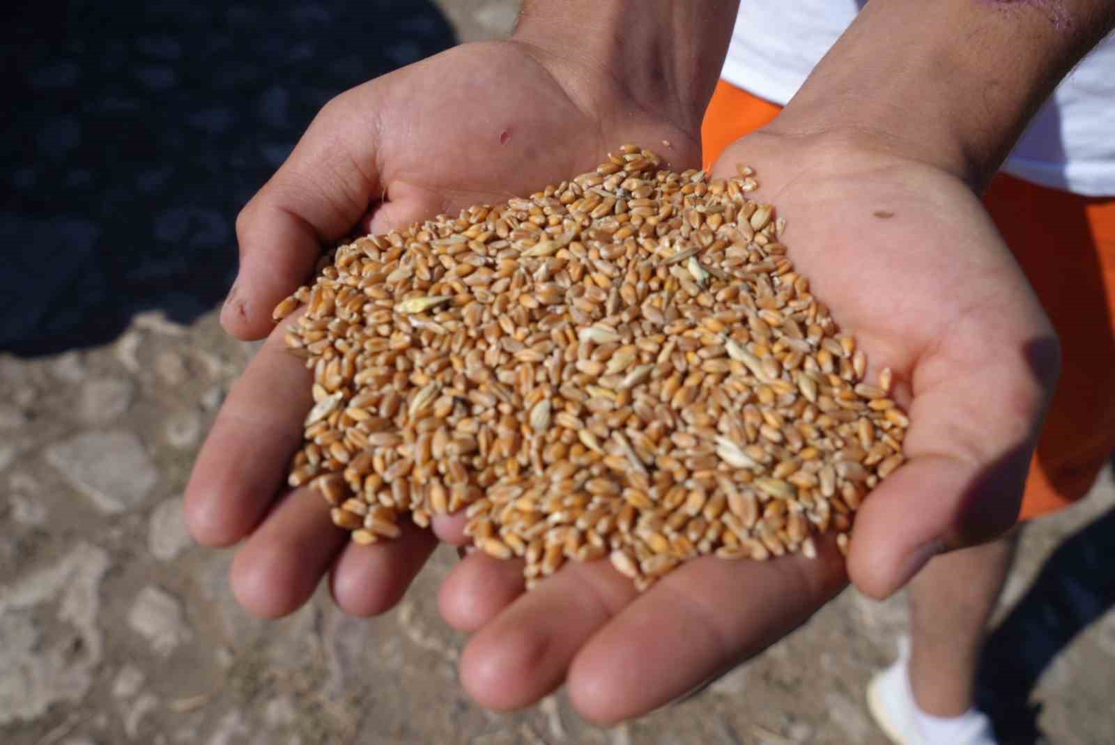 Bayburt’ta 2 bin 570 işletmeye 67 bin 294 çuval yem desteği verilecek
